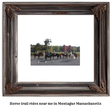 horse trail rides near me in Montague, Massachusetts